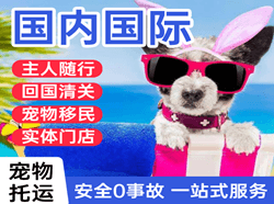 长治航空物流国际宠物托运 【国